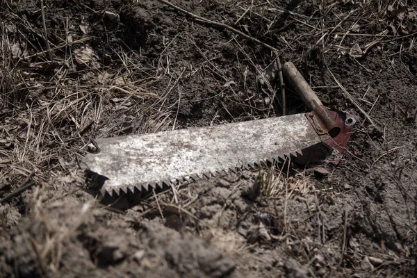 Kırık testereyle yerdeki tahtayı kestiler.