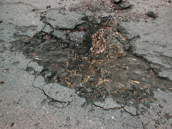 Bir Rus kabuğunun peşinde.