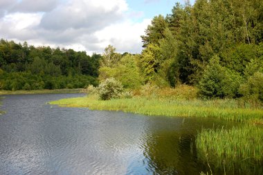 The river flows along the forest banks
