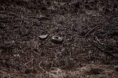 Terk edilmiş tanksavar mayını yerde.