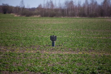 Rus roketi ekilmiş bir tarlada duruyor.