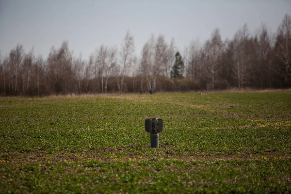 Rus roketi ekilmiş bir tarlada duruyor.