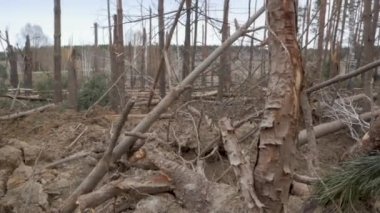 Rus hava bombasının düştüğü yer.