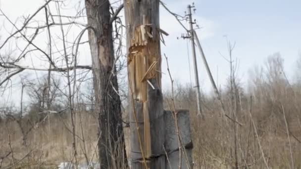 Drewniany Słup Telegraficzny Uszkodzony Odłamkami — Wideo stockowe