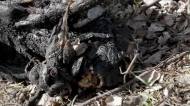 Bir Rus tankerinin yanmış parçaları.