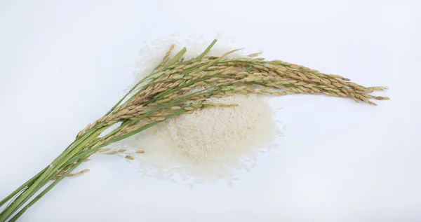 Thajský Jasmín Bílá Rýže Neomletá Rýže Izolované Bílém Pozadí — Stock fotografie