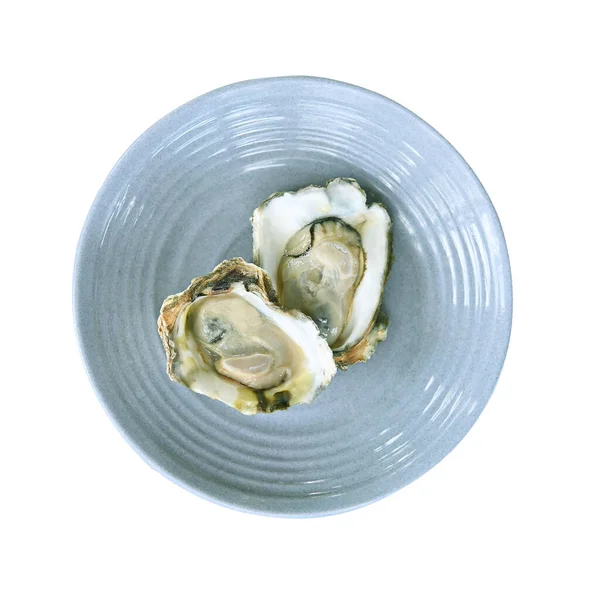 Свежие Устрицы Голубой Тарелке Подаются Устрицами Вкусные Морепродукты — стоковое фото