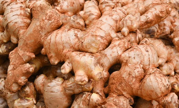 Healthy Benefits Ginger Ginger Root Market Food Protect Virus — Stockfoto