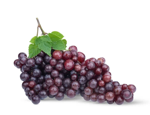 Bunch of fresh red grape fruit with green leaf isolated on white background. fruit high vitamin C..