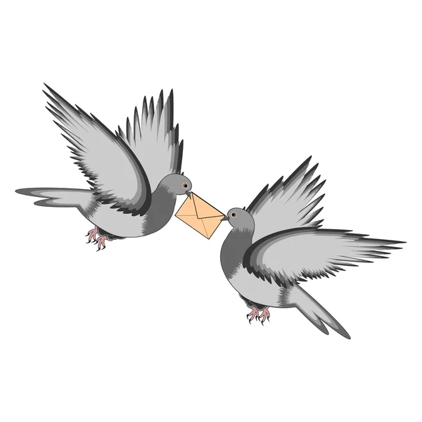 Deux pigeons avec une lettre sur fond blanc — Image vectorielle