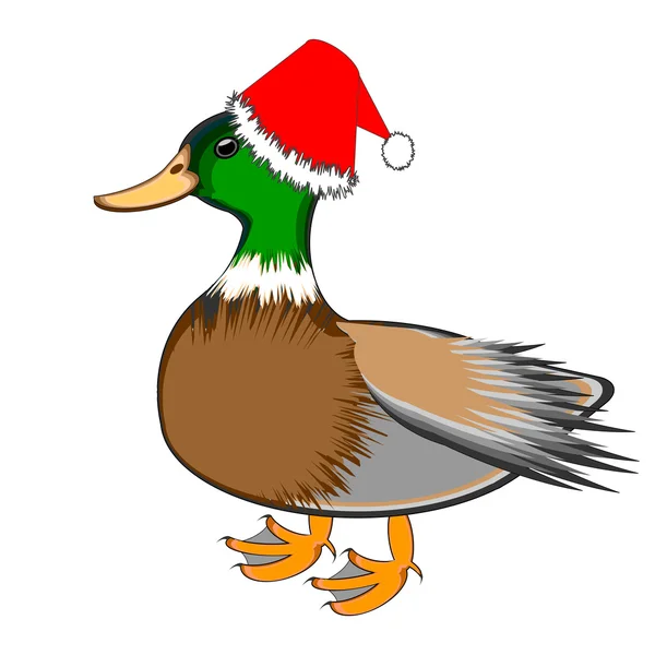 Un canard de Noël isolé sur fond blanc — Image vectorielle