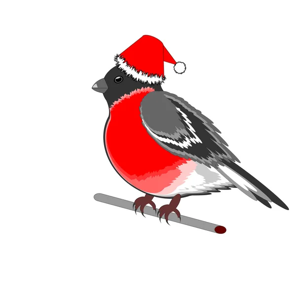 A Christmas bullfinch on a white background — Stock Vector