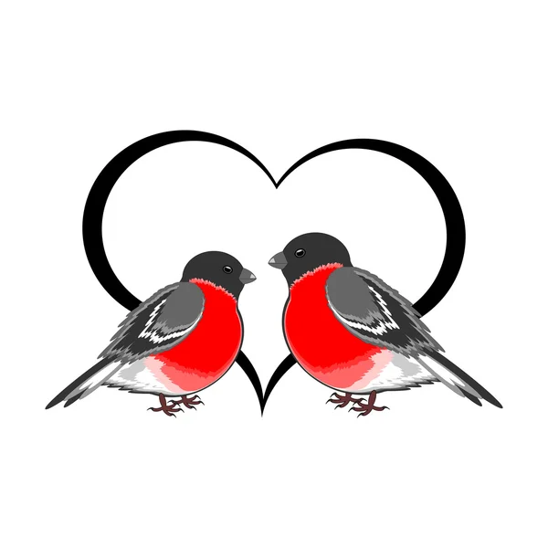 A couple of cute bullfinches (pyrrhula) with a heart — Stock Vector