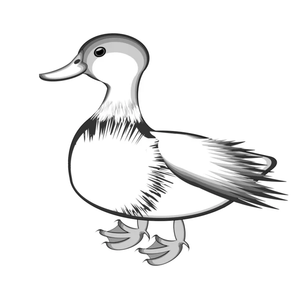 Un croquis monochrome d'un canard — Image vectorielle