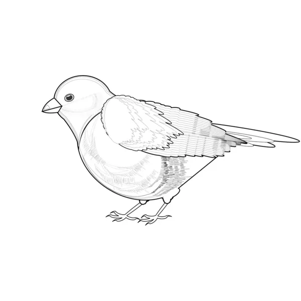 Un boceto monocromo de titmouse — Vector de stock