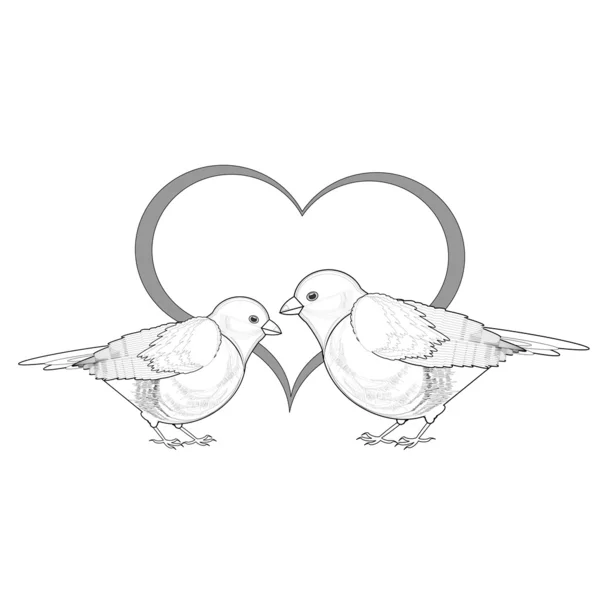 Un croquis monochrome d'un couple d'oiseaux avec un cœur — Image vectorielle