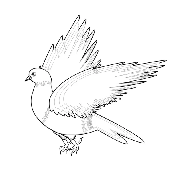 Um esboço monocromático de um pássaro — Vetor de Stock