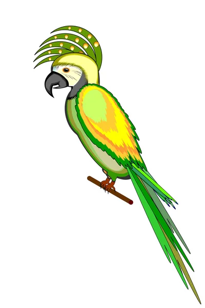 Папуга макарони ізольовані на білому тлі — стоковий вектор