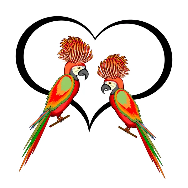 A couple of macaw parrots with a heart — Stock Vector