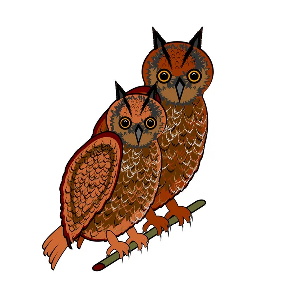 A couple of two owls — Stock Vector
