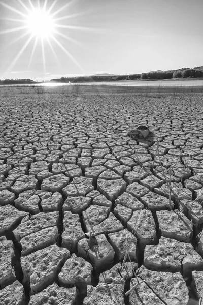 Tiempo de sequía 로열티 프리 스톡 사진