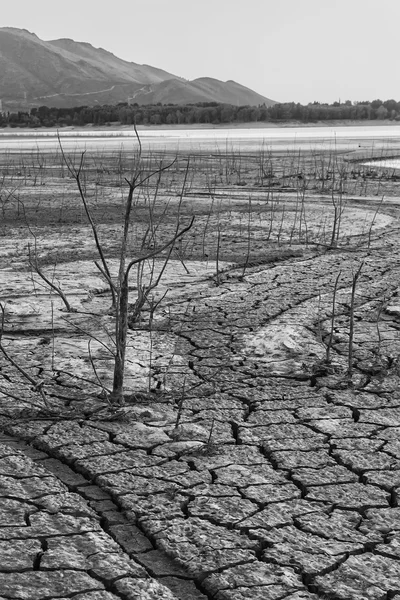 Terreno de sequía 스톡 사진