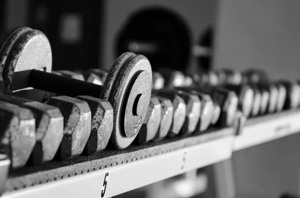 Dumbbells sitting on a rack — Stock Photo, Image