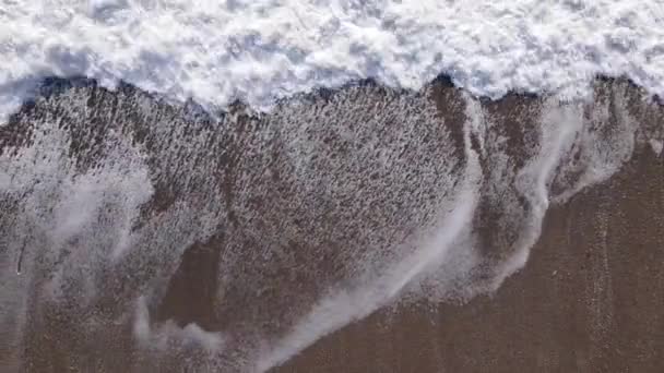 Paysage marin de jour : eau de mer près du rivage — Video