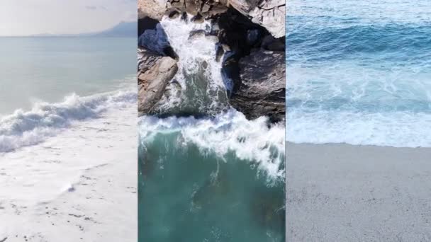 Tre i en vertikal video av havsvatten nära stranden, slow motion — Stockvideo