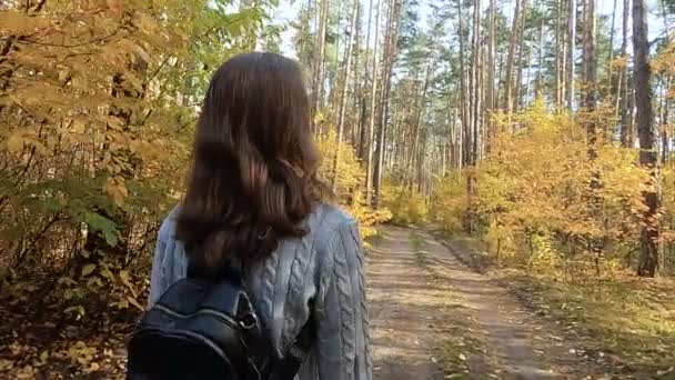 Flickan går genom höstskogen — Stockvideo