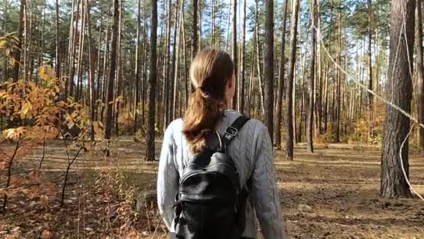 A menina caminha pela floresta de outono — Vídeo de Stock