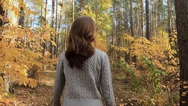 Девушка гуляет по осеннему лесу — стоковое видео