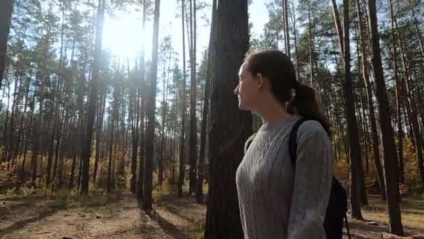 Das Mädchen geht durch den herbstlichen Wald — Stockvideo