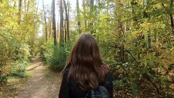 Kız sonbahar ormanında yürüyor. — Stok video