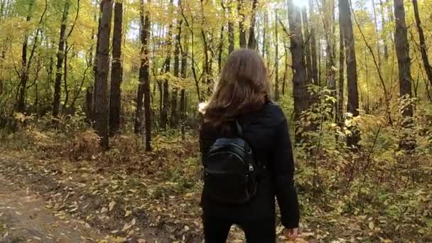 Το κορίτσι περπατά μέσα στο φθινοπωρινό δάσος — Αρχείο Βίντεο