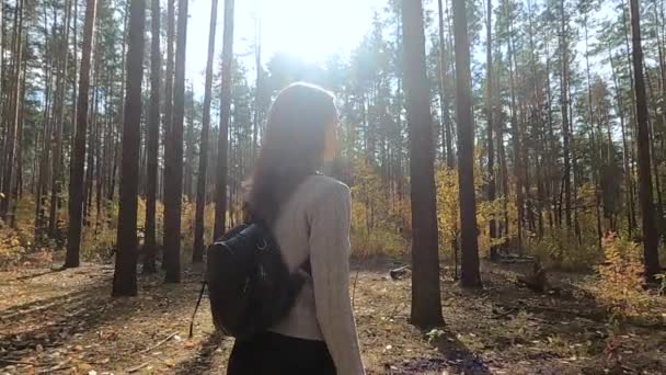 La chica camina por el bosque de otoño — Vídeos de Stock