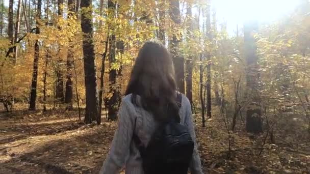 Kız sonbahar ormanında yürüyor. — Stok video