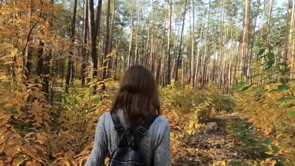 Het meisje loopt door het herfstbos — Stockvideo