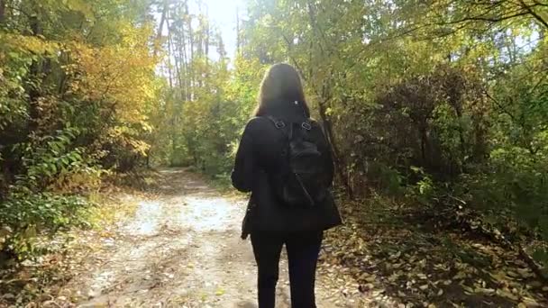 Flickan går genom höstskogen — Stockvideo