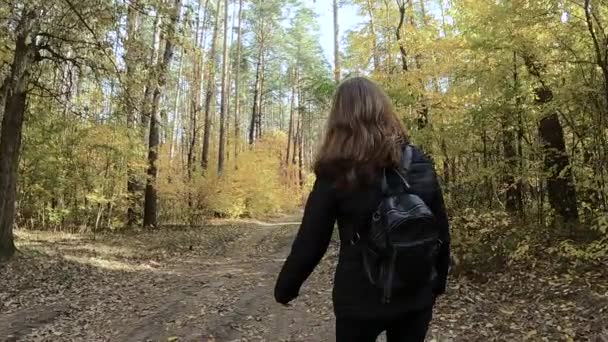 Het meisje loopt door het herfstbos — Stockvideo