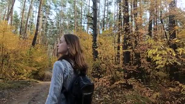Дівчина проходить через осінній ліс — стокове відео