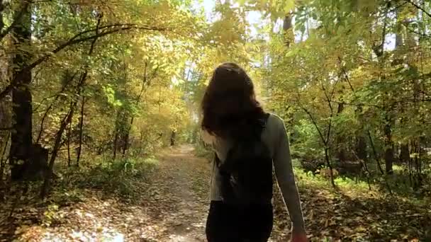 Dziewczyna idzie przez jesienny las — Wideo stockowe