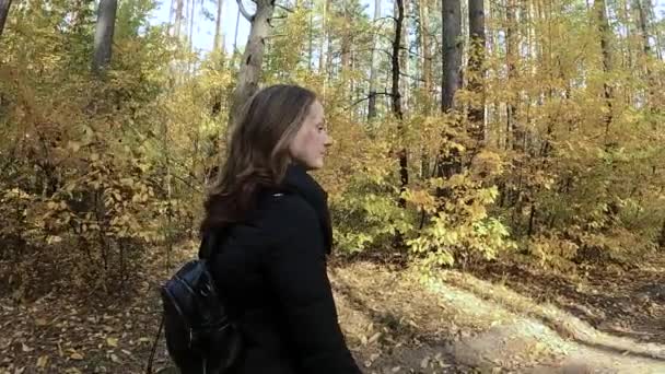 La chica camina por el bosque de otoño — Vídeos de Stock