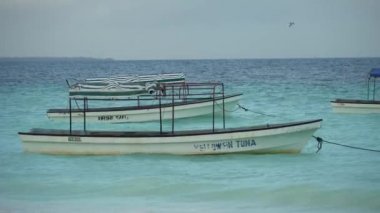 Tanzanya, Zanzibar 'daki Nungwi kıyısında okyanusta tekneler.