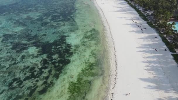坦桑尼亚桑给巴尔岛海滩的空中景观 — 图库视频影像