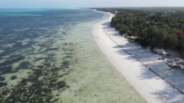 Tanzanya 'nın Zanzibar kıyısındaki okyanus manzarası