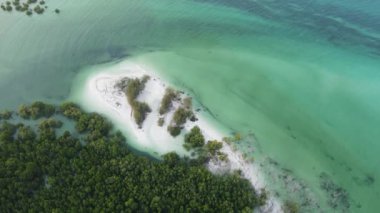 Tanzanya 'nın Zanzibar kıyısındaki okyanus manzarası