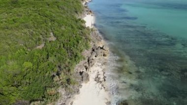 Tanzanya 'nın Zanzibar kıyısındaki okyanus manzarası