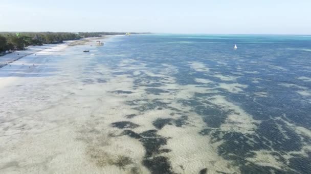 Légi kilátás az óceánra Zanzibár partjainál, Tanzániában — Stock videók