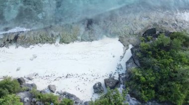 Tanzanya 'nın Zanzibar kıyısındaki okyanus manzarası